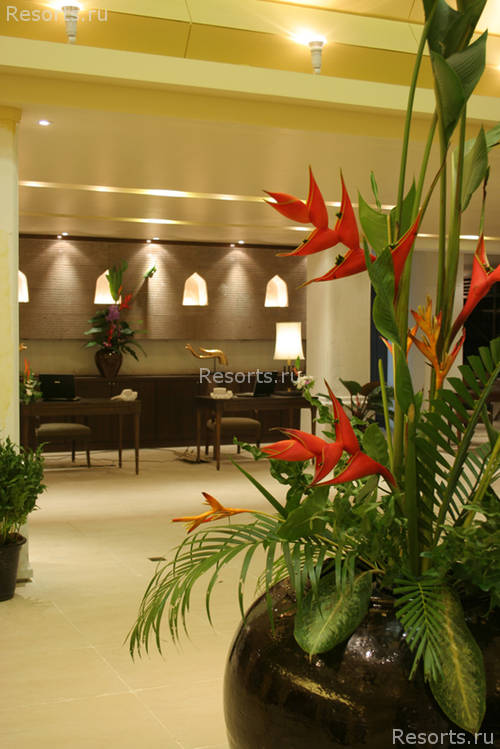 Patong Paragon Hotel 34
